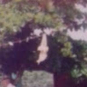 Meet your Posher, Dalia